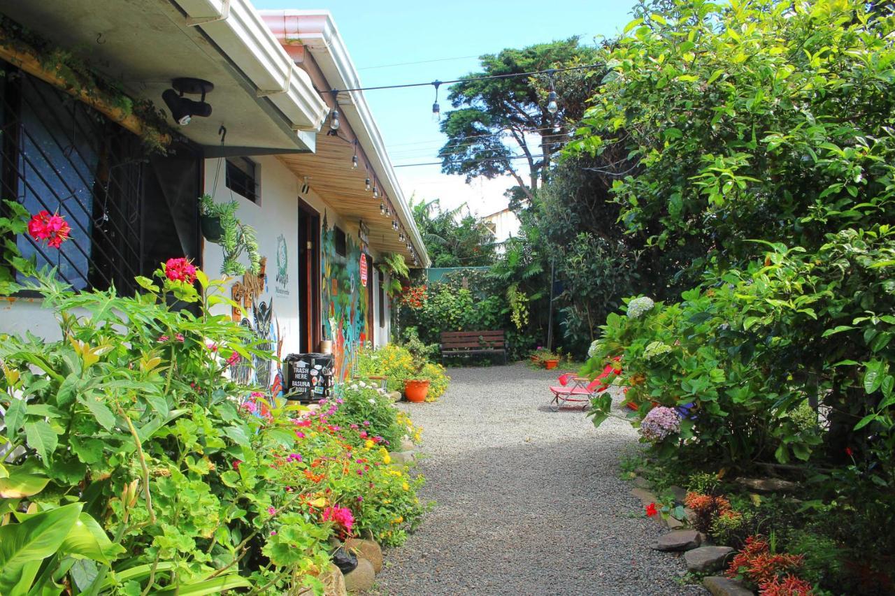 Casa Jungle Monteverde B&B Exterior photo